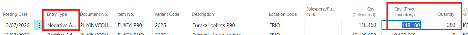 Physical Inventory Adjustment